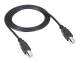 BlackBox USB08-0016 USB 2.0 Kabel, Typ B St. zu Typ B St., 4,88m
