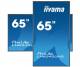Iiyama LH6542UHS-B3