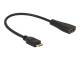 DELOCK Cable High Speed HDMI with Ethernet - mini C male > A female