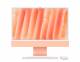 Apple Z1E8-DE40 IMAC 24 M4 8/8/16 24GB 256GB