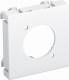 OBO Bettermann 6105234 OBO MTG-X O RW1 Multimediaträger XLR ohne Anschlussbuchse 45x45mm rws 