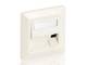 Equip Frontplatte 3xKeystone Jack 45° Fireproof RAL9010 Polybeutel
