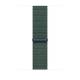 Apple MXL83ZM/A 46MM LAKE GREEN SPORT LOOP