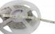 Synergy 21 S21-LED-F00208