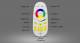 Synergy 21 FUT096