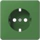 Jung CD520NAGNPL Zentralplatte für SCHUKO Steckdose Schriftfeld grün