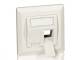 Equip Frontplatte 2xKeystone Jack 45° 5Stk RAL1013 Polybeutel