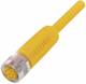 Balluff BCC M418-0000-1A-069-PX4825200-C033 connector BCC0J18