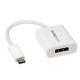 Startech.com CDP2DPW USB-C TO DISPLAYPORT ADAPTER