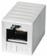 Telegärtner 100023166 Telegaertner AMJ Coupler CAT.6 + J00029A0062 RJ45 (FF) alpine white isol