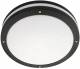 SG Leuchten 644823 SG SGLI EVJE 19W LED 4000K, schwa mit Sensor (HF)