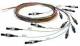Telegärtner 100011259 L00859A0013 pigtail- Set, 9 / 125µ 12 colors connector E2000