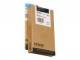 Epson C13T603100