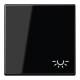 Jung A590BFLSW Rocker Symbol Light Shatterproof Series A Black
