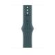 Apple MXLR3ZM/A 46MM LAKE GREEN