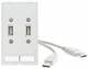 Murrelektronik 4000-68000-0900000 MSDD Modlink 2USB-A socket/plug 0.7m cable.