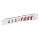 LWL-Frontblende 25,4 cm ( 10 Zoll ), 8x(SC-Duplex/LC-Quad), ohne Kupplungen