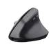 TRUST COMPUTER BAYO+ ERGONOMIC WIRELESS MOUSE