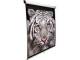 Elite Screens M71XWS1