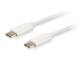 Equip Cable USB-C 3.2 -> C Plat. St/St 2.00m 3A 4K/60Hz ws polybag