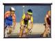 Elite Screens M100UWH