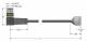 Turck WSS8T-10/TEL actuator and sensor cable PVC connection cable 6625457
