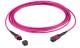 LWL-MTP®-Female Patchkabel OM4 LowLoss, 24 Faser, Typ A 1:1, erika-violett, 30m