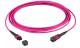 LWL-MTP®-Female Patchkabel OM4 LowLoss, 12 Faser, Typ A 1:1, erika-violett, 5m
