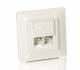 RJ45 Cat5 can equip 2xRJ45 flush Pearl White