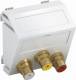 OBO Bettermann 6105174 OBO MTS-12R L RW1 Multimediaträger Audio/Video 3x Buchse mit Löt 45x45mm rws