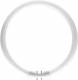 Philips 64221925 TL5 fluorescent lamp 22W/840 C ring-shape 64,221,925 EE: A