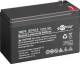 Goobay 16076 GO12-9 - 12 V, 9000 mAh ,Faston (4,8 mm), Bleibatterie