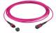 LWL-MTP®-Female Patchkabel OM4 LowLoss, 12 Faser, Typ B crossed, erika-violett, 0,5m