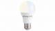 Shelly · Plug & Play · Duo E27 · LED lamp · WiFi