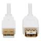 Eaton Power Quality USB-A ANTIBACTERIAL EXT CBL M/F
