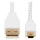Eaton Power Quality USB-A TO USB MINI-B ANTIBACTRL