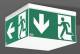 RZB 672299.002.89 emergency light ceiling light Signcube LED/4x1.8W