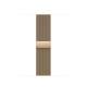 Apple 41MM GOLD MILANESE LOOP