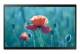 Samsung QB24R-TB 61 cm ( 24 inch ) display, touch