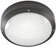SG Leuchten 643866 SG SGLI CANTO 2000 LED 3000K graphit/opal Außen-Wandleuchte