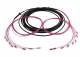 Synergy 21 S217070 Fiber optic cable, trunk cable U-DQ(ZN)BH 8G 50/125, LC/LC OM4 10m, ring, Synergy21