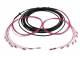 Synergy 21 S217070 LWL-Kabel, Trunkkabel U-DQ(ZN)BH 8G 50/125, LC/LC OM4 10m, Ring, Synergy21