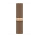 Apple MXMR3ZM/A 46MM GOLD MILANESE LOOP - M/L