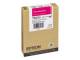 Epson C13T605300