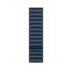 Apple 45MM PACIFIC BLUE MAGNETIC LINK