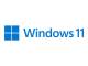 Microsoft HZV-00107 MS-SW Windows 11 Pro for Workstations - 64-Bit * SB * German