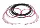 Synergy 21 S217073 Fiber optic cable, trunk cable U-DQ(ZN)BH 8G 50/125, LC/LC OM4 40m, ring, Synergy21
