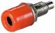 Goobay 11734 Bananenbuchse mit Gewinde - 4 mm, mit 2 Muttern