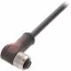 Balluff BCC M428-0000-1A-069-PX0825-100 connector with cable BCC0C6P