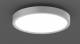 RZB 312420.004.76, 40W, 3350lm, 830, si, ceiling/wall light